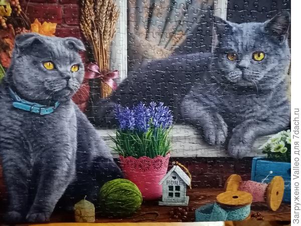 Я долго на неё смотрела, кого же она мне напоминает?...