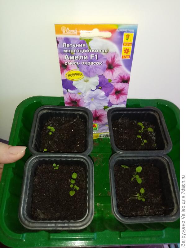 Наверное пора расселять