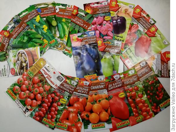 Всё такое ярко-пестрое!