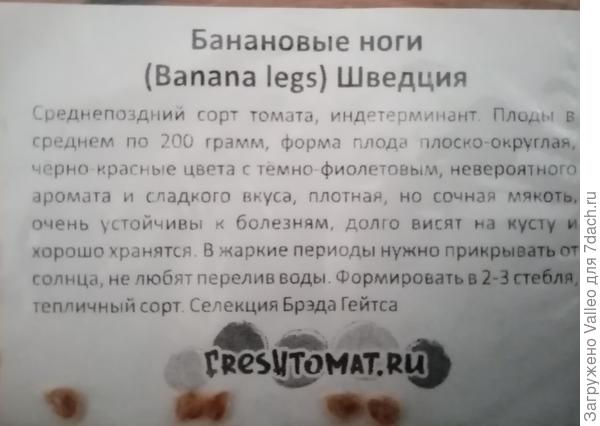 Да-да) только жаль, что такими они не вырастают)