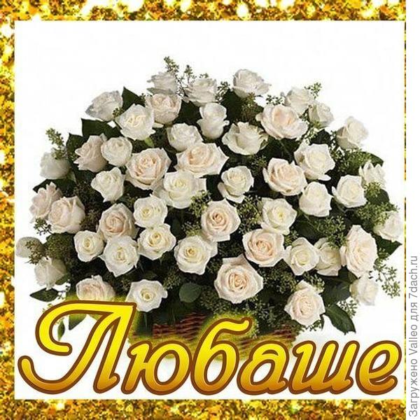 С днём рождения!