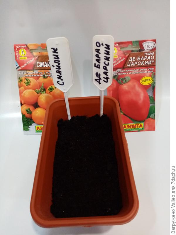 Подготовка