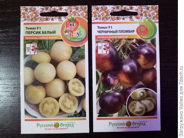 Мой выбор