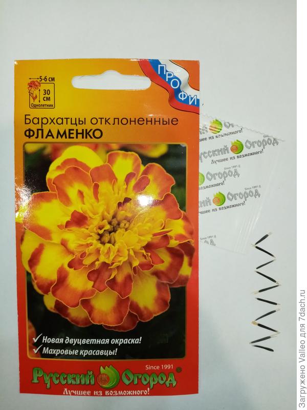 Точно, 10 семян.