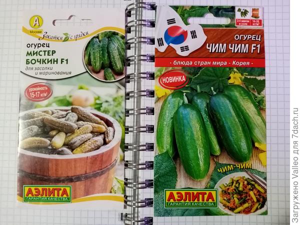 Огурцы