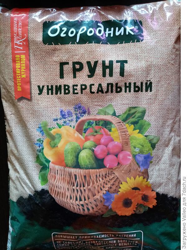 Грунт