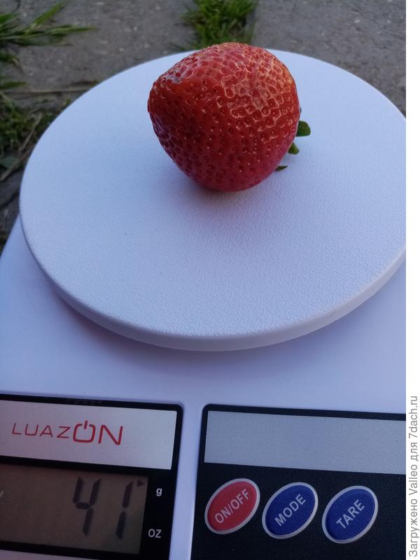 И это не самая крупная.