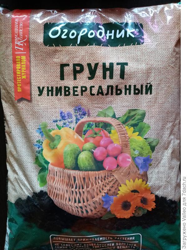 Грунт