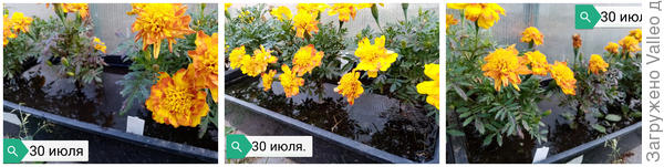 Очередной потоп...