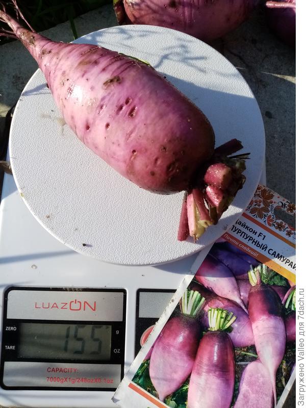 В общем то так и есть