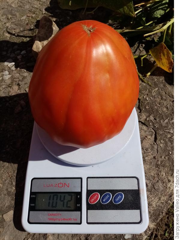 Так, чтобы один помидор на целую миску салата