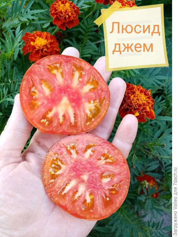 С янтарной мякотью