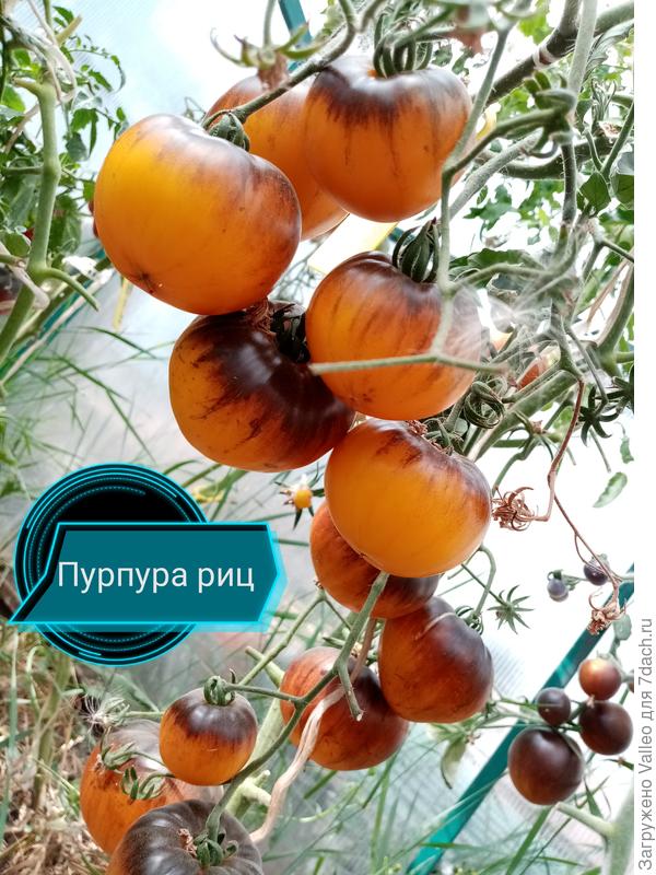 Кто-то ещё сомневается?