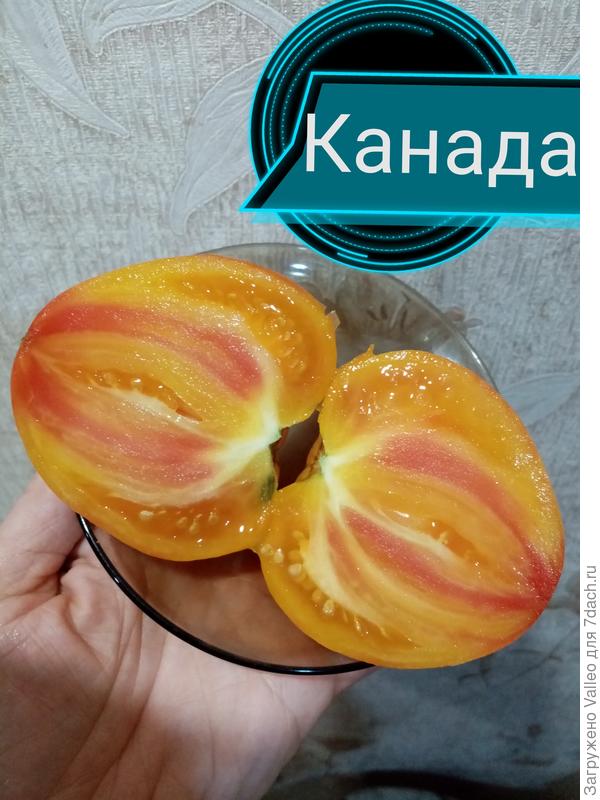 И с полосатой мякотью