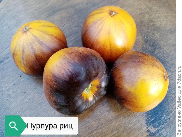 ПрЭлЭстны!
