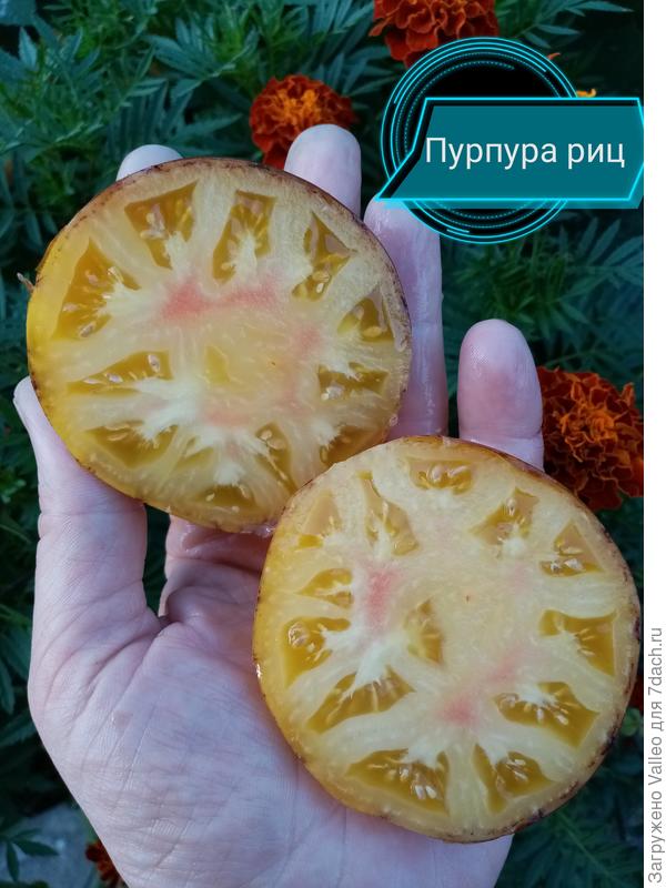 В разрезе