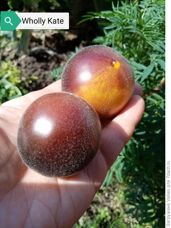 Вот, например)