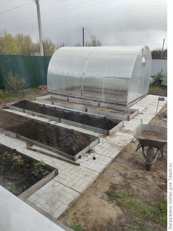 Начало положено)