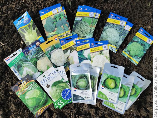 Все прошлогодние сорта