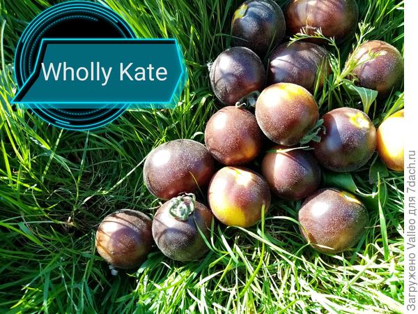 И даже пушистик есть))