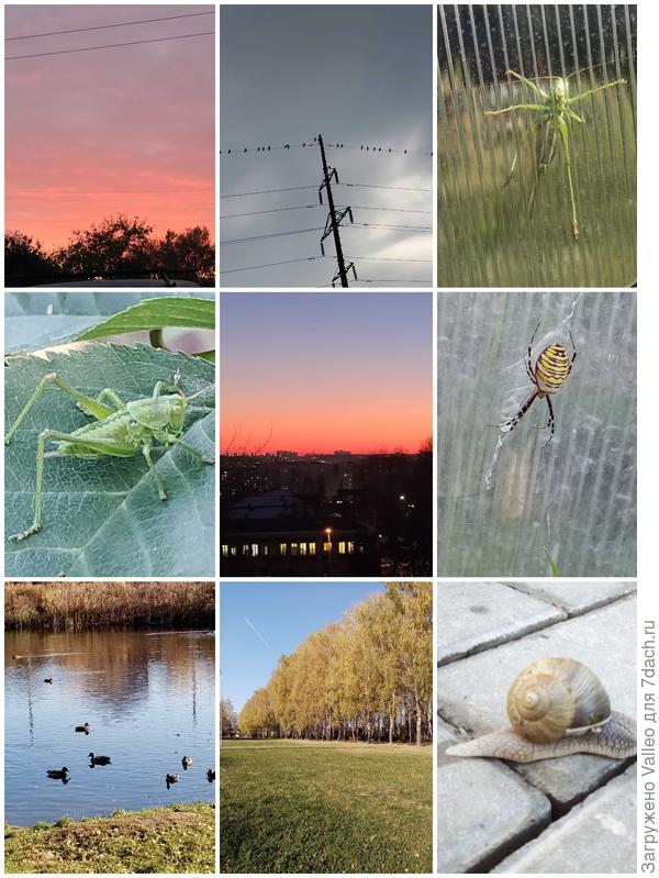 До мелочей!