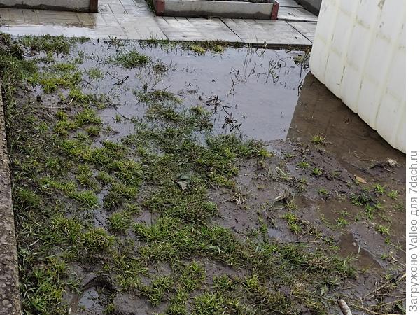 Рядом с теплицей от такие моря...