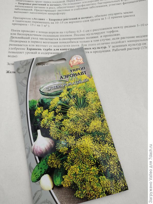 Укроп