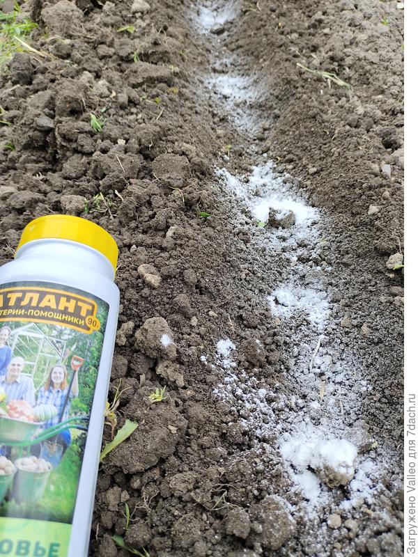 Подготовка грунта