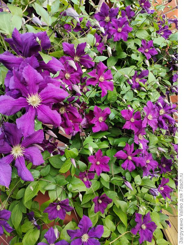 С Днём рождения!