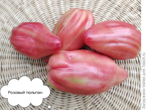 Покорил меня! И цветом, и формами😊