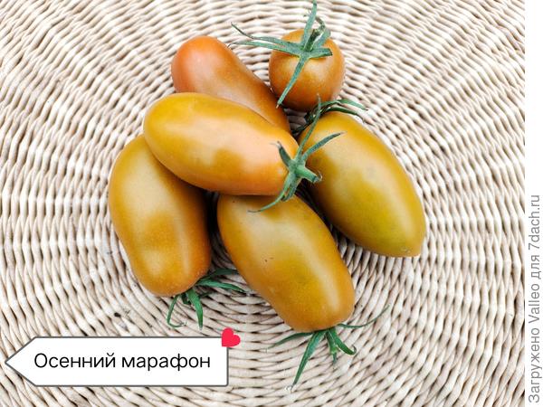 Шикарный томат! Очень урожайный, сладкий, безумно красивый!!!