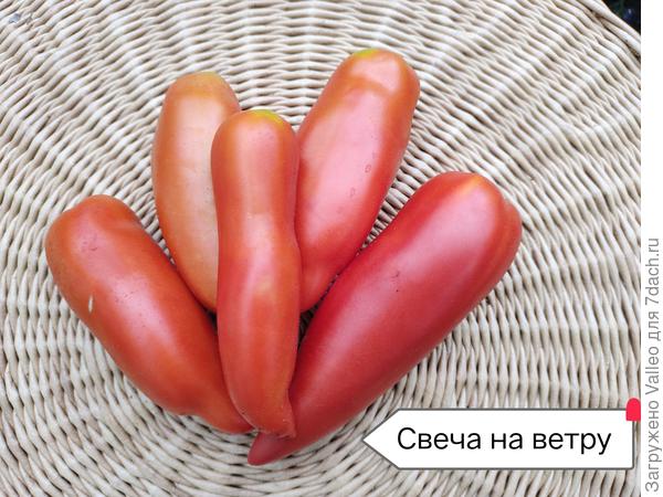 И такие бывают))