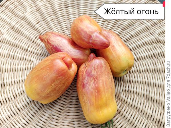 Вкуснючий, сладкий, фруктовый вкус