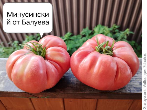 Минусинцы рулят!!!