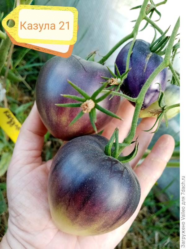 Вот, только не зрелый ещё.