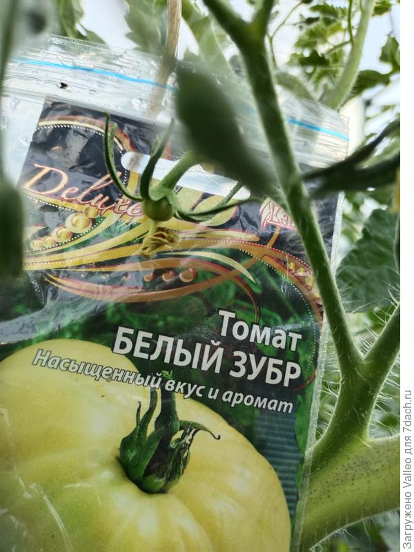 Иии