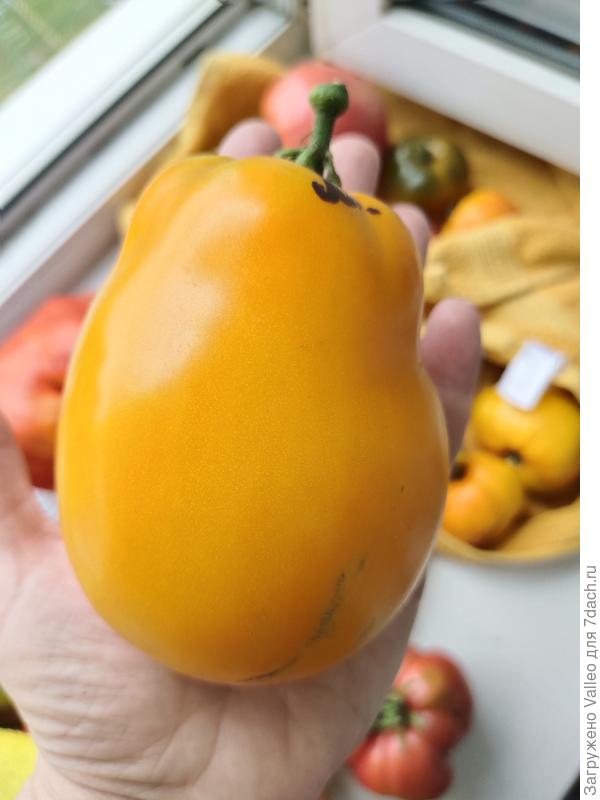 Минусинский стакан оранжевый