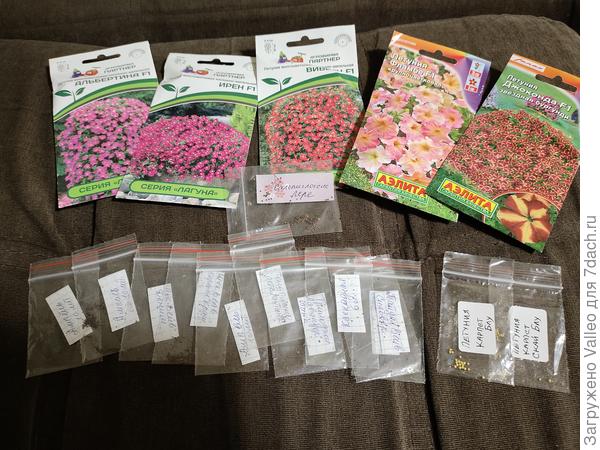 Здесь семена от Партнёра, решила на своей шкуре проверить их хваленое качество. Ещё подарки от девочек-семидачниц😘
