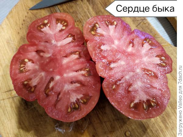 Сердце быка