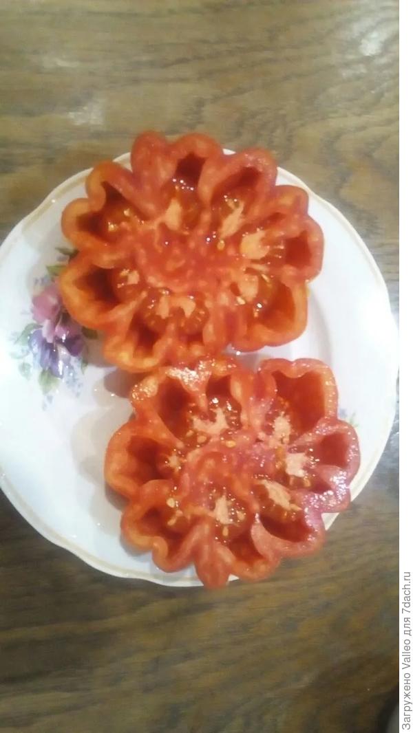 Это уже в разрезе.