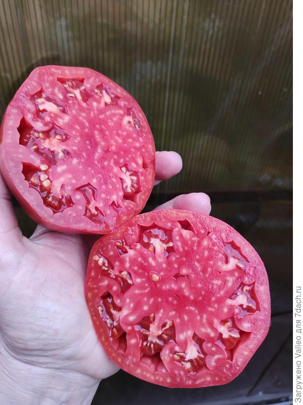 Вераче, но семечко одно осталось 🙈 увлеклась подарками