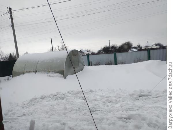 Это огуречная. Сейчас снег немного осел.