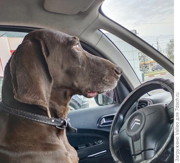 Мы уже в пути!!!