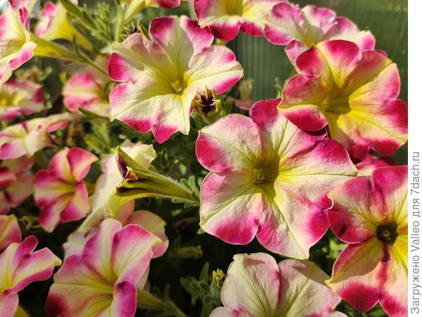 Поздравляю!!!