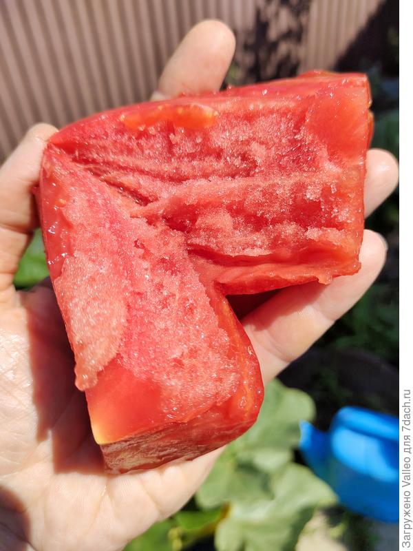 Он же, изнутри