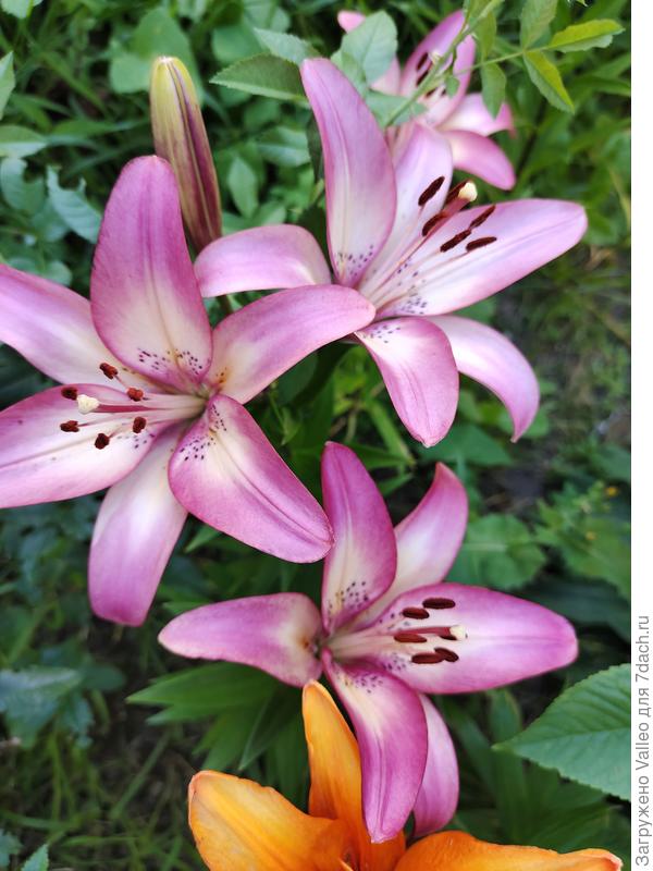 Поздравляю!