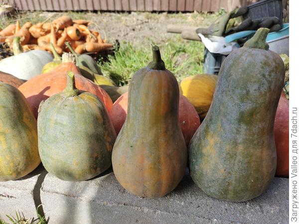 Вооон, на заднем плане)