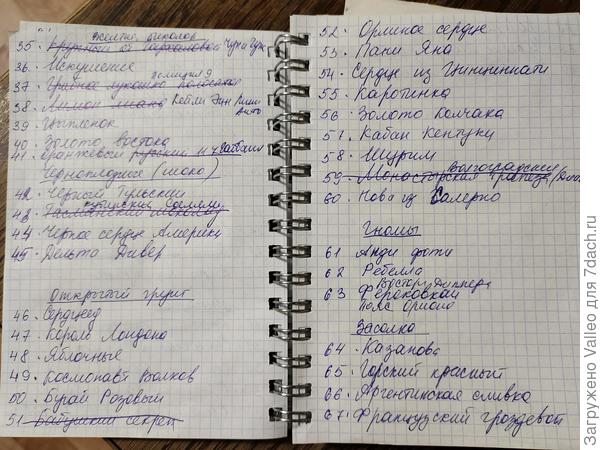 Моя голова скоро лопнет...