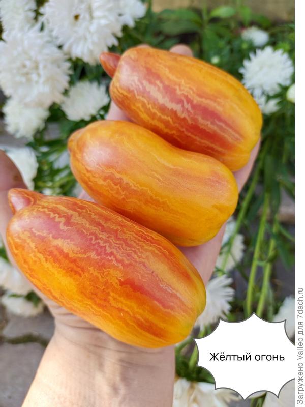 Прелесть 🤗