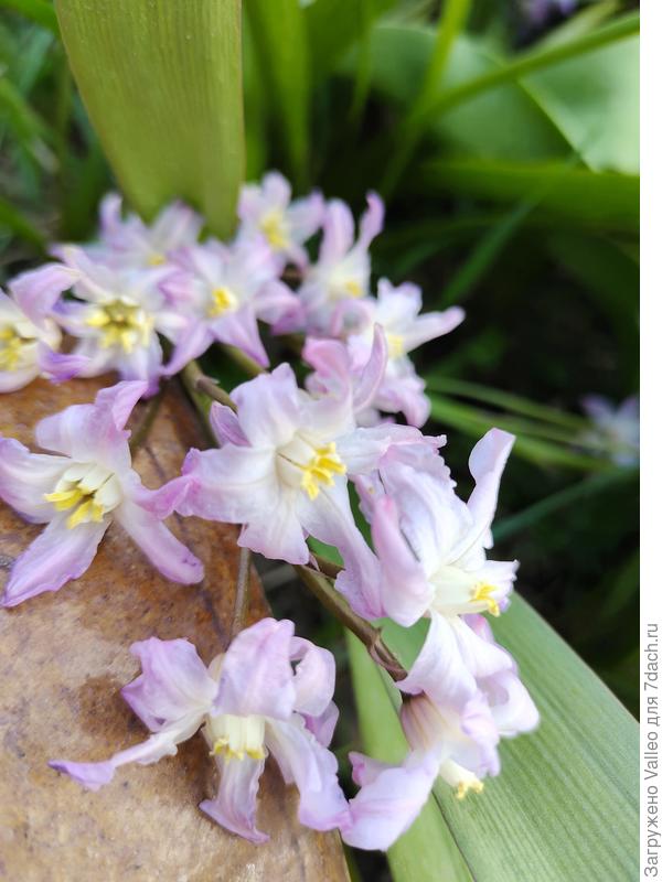 В другом цвете)